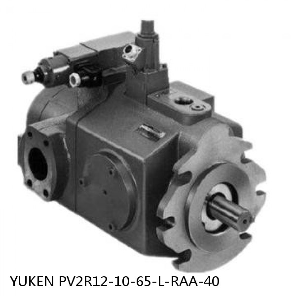 YUKEN PV2R12-10-65-L-RAA-40 Double Vane Pump