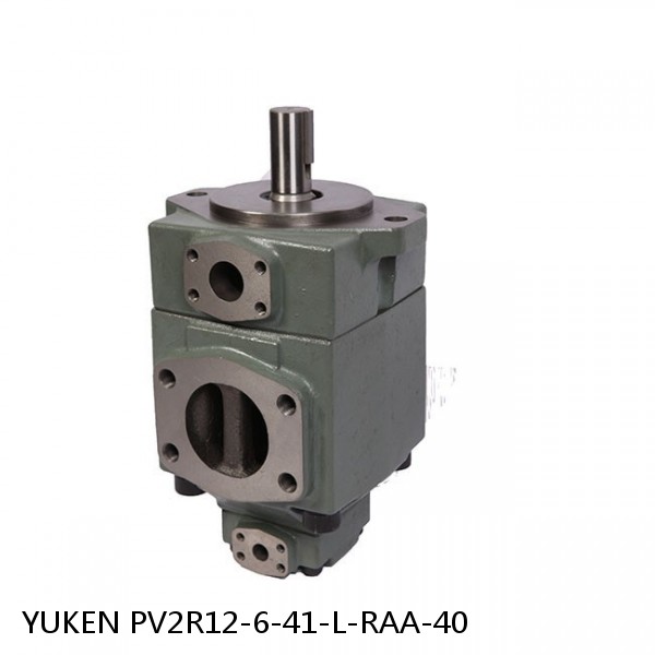 YUKEN PV2R12-6-41-L-RAA-40 Double Vane Pump