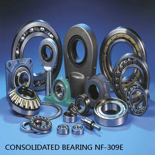 1.772 Inch | 45 Millimeter x 3.937 Inch | 100 Millimeter x 0.984 Inch | 25 Millimeter  CONSOLIDATED BEARING NF-309E  Cylindrical Roller Bearings