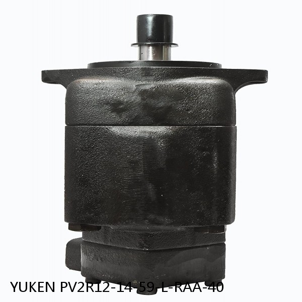 YUKEN PV2R12-14-59-L-RAA-40 Double Vane Pump #1 small image