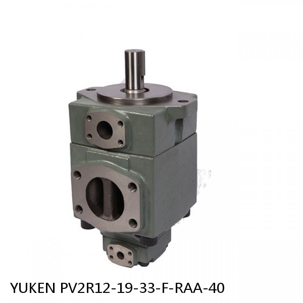 YUKEN PV2R12-19-33-F-RAA-40 Double Vane Pump #1 small image