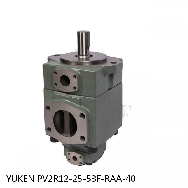 YUKEN PV2R12-25-53F-RAA-40 Double Vane Pump #1 small image