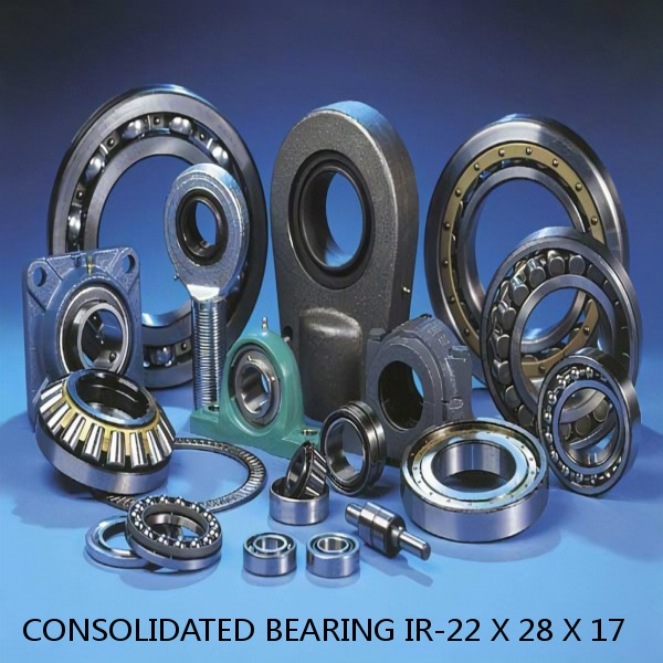 0.866 Inch | 22 Millimeter x 1.102 Inch | 28 Millimeter x 0.669 Inch | 17 Millimeter  CONSOLIDATED BEARING IR-22 X 28 X 17  Needle Non Thrust Roller Bearings #1 small image