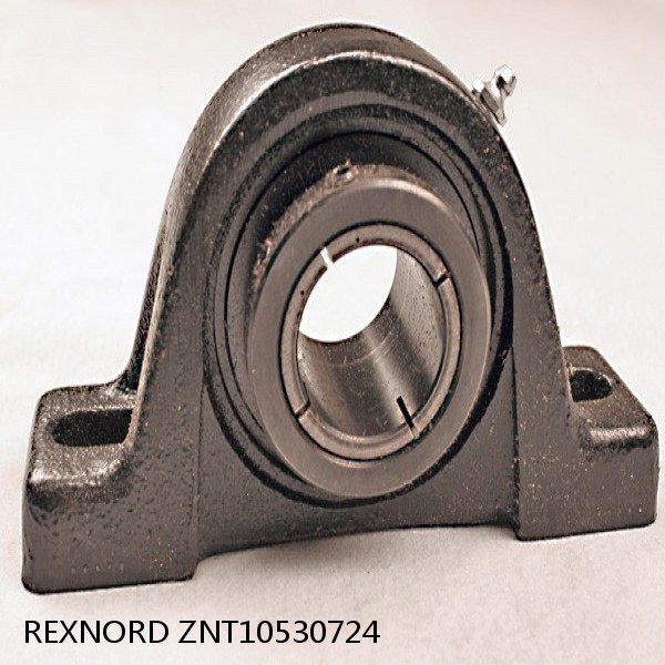 REXNORD ZNT10530724  Take Up Unit Bearings #1 small image