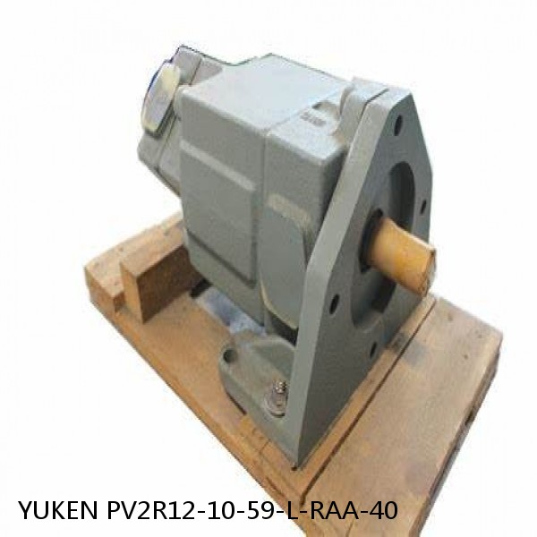YUKEN PV2R12-10-59-L-RAA-40 Double Vane Pump #1 image