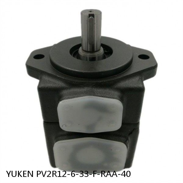 YUKEN PV2R12-6-33-F-RAA-40 Double Vane Pump #1 image