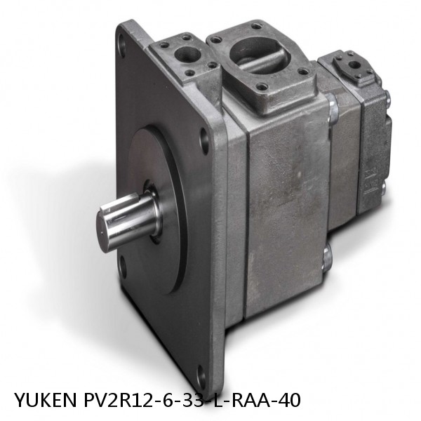 YUKEN PV2R12-6-33-L-RAA-40 Double Vane Pump #1 image