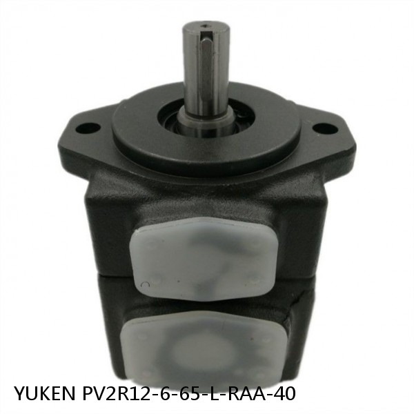 YUKEN PV2R12-6-65-L-RAA-40 Double Vane Pump #1 image