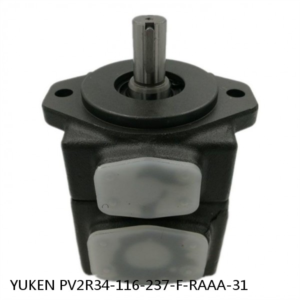 YUKEN PV2R34-116-237-F-RAAA-31 Double Vane Pump #1 image