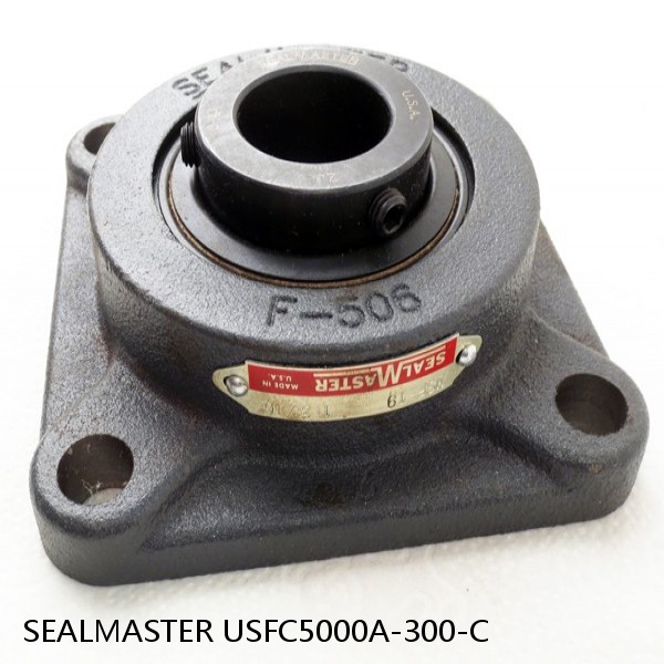 SEALMASTER USFC5000A-300-C  Flange Block Bearings #1 image