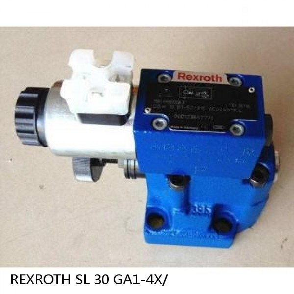 REXROTH SL 30 GA1-4X/ R900587556 HY-CHECK VALVE #1 image