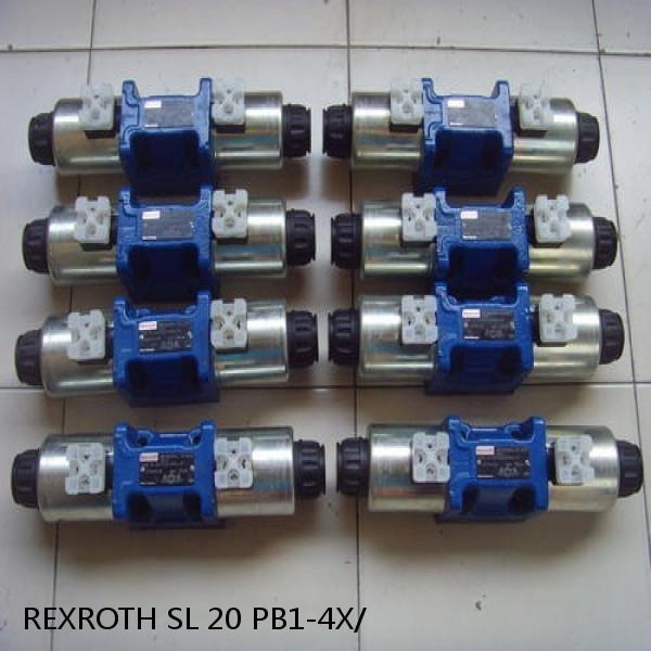 REXROTH SL 20 PB1-4X/ R900599586 HY-CHECK VALVE #1 image